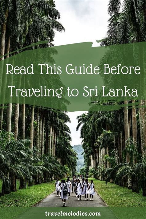 Sri Lanka Travel Guide To Plan A Perfect Trip To Sri Lanka Sri Lanka