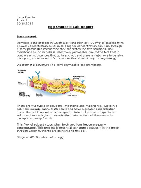 Egg osmosis _ introduction according to the anatomy and physiology textbook. Egg Osmosis Lab | Osmosis | Chemistry
