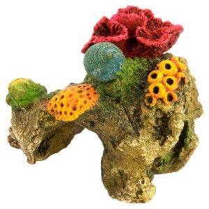 Complete your underwater canvas with an aqua culture assorted coral reef aquarium ornament. 17 Best images about Fishies!! on Pinterest | Plants, Cats ...