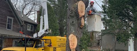 Jun 15, 2021 · the personal care products council, a trade association representing the cosmetics industry, said in a statement that a small number of pfas chemicals may be found as ingredients or at trace levels in products such as lotion, nail polish, eye makeup and foundation. Tree Removal Service | Bangor, Maine | Maine Tree Solutions