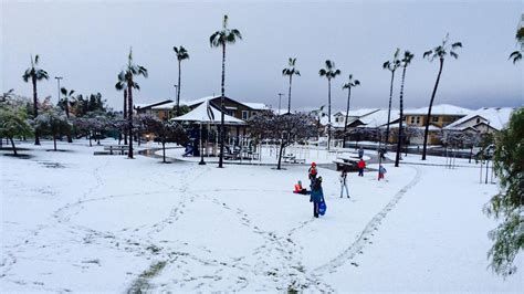 Snow In The Palm Trees On A Wintry New Years Eve For Southern