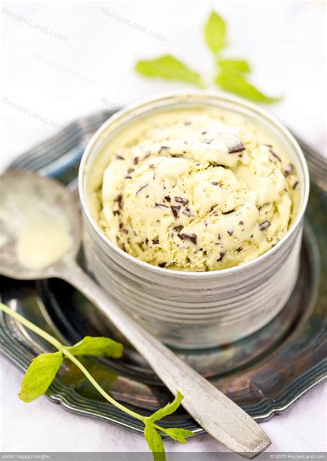 Chocolate Mint Ice Cream Recipe