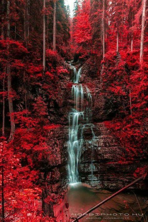 A Red Car Is Parked In Front Of A Waterfall And Trees With Red Leaves On It
