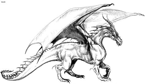 Real Dragon Coloring Pages ~ Coloring Pages
