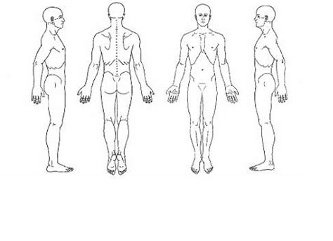 .position diagram, anatomical position diagram blank, anatomical position diagram quiz, diagram of anatomical position, human anatomical related posts of anatomical position diagram. 4219925618_cd3c830a06.jpg