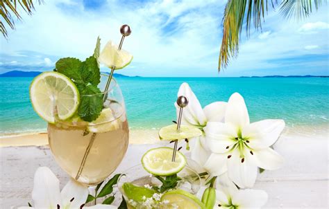 Tropical Beach Flowers Photography Wallpaper Wide Wallpapers