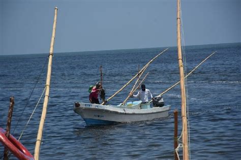 Folha De Maputo Notícias Nacional Pesca Furtiva Lesa Moçambique