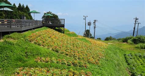 Explore tweets of 不见星空 @bujianxingkong on twitter. 汤泽高原滑雪场｜目的地｜【官方】日本国家旅游局(JNTO)