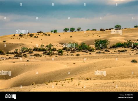 India Rajasthan Thar Desert Stock Photo Alamy