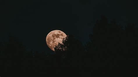 Download Wallpaper 2048x1152 Moon Full Moon Trees Night Ultrawide