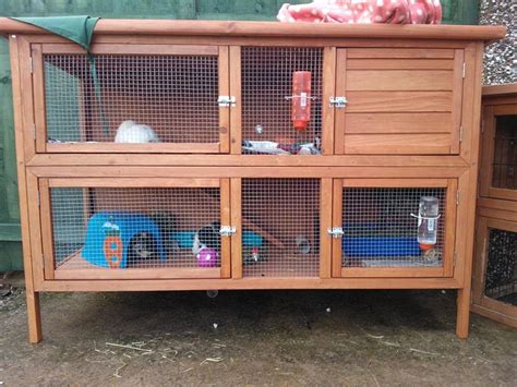 Guinea Pig Hutch Tour August 2013 Youtube