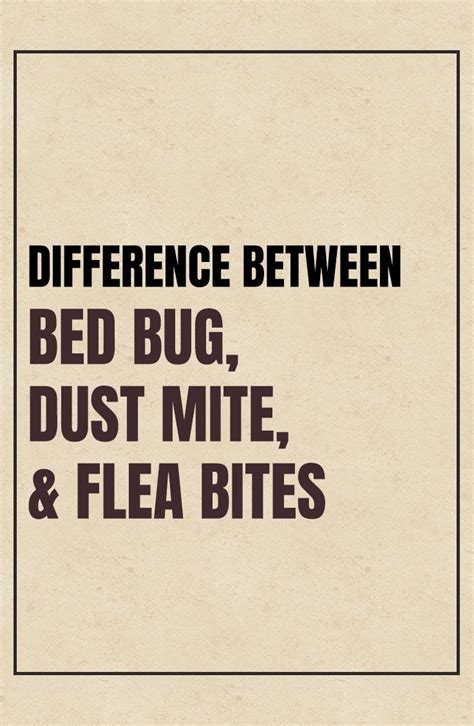 Flea Bites Vs Bed Bug Bites Vs Dust Mite Bites Bed Bug