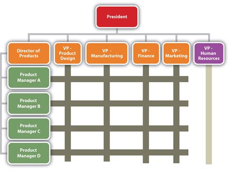 165 Reading The Organization Chart And Reporting Structure