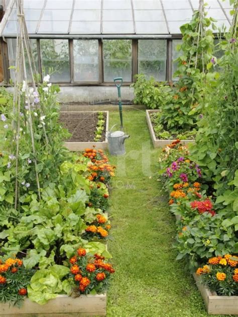 Summer Garden With Mixed Vegetables And Flowers Growing In Raised Beds