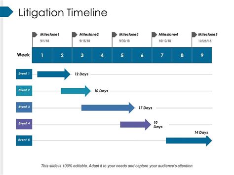 Litigation Timeline Example Of Ppt Presentation Powerpoint Templates