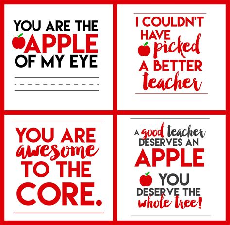 An Apple For The Teacher Apple Teacher Ts Teacher T Tags