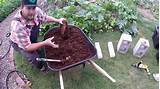 Bin which will collect the worm tea / leachate. How To Build A Worm Compost Bin Worm Farm That Works ...