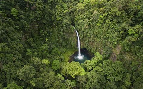 Hiking In The Dense Rainforest Of Costa Rica Costa Rica Insider