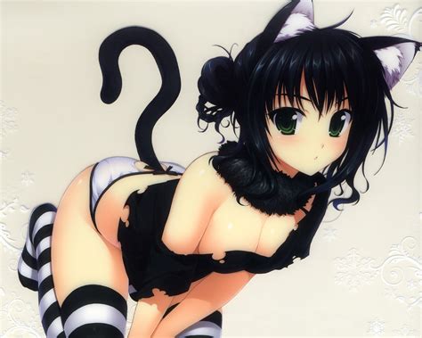 sexy neko girl girl anime manga girl sexygirl hotgirl neko kitty kitten [follow me