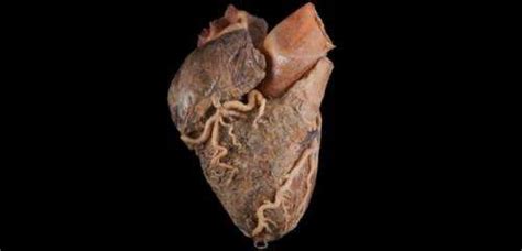 With tenor, maker of gif keyboard, add popular real heart animated gifs to your conversations. New app lets med students study real human heart on iPad