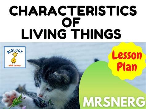 7 Characteristics Of Living Organisms Lesson Plan Teaching Resources