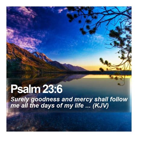 Psalm 236 Daily Bible Verse
