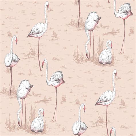 Cole And Son Flamingos Plaster Pink Wallpaper 40 Off Samples