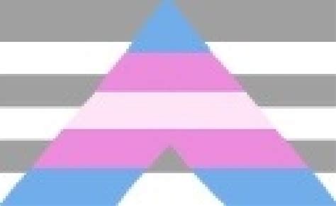 Cisgender Ally Pride Flag 1 By Flagsforcishets On Deviantart