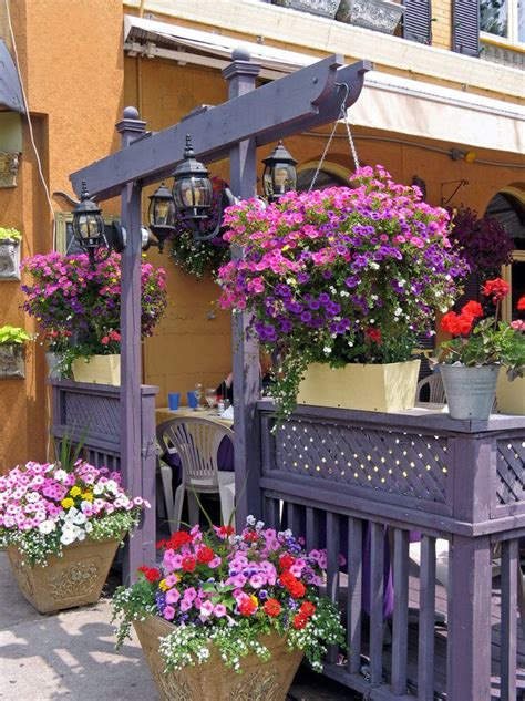Hanging baskets filled just with bacopa also look amazing when in full flower. 128 best images about Hanging flower baskets on Pinterest ...