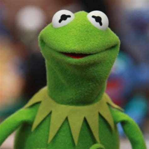 Kermit Frog Youtube