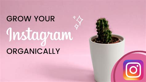 6 Ways To Master Organic Growth On Instagram In 2020