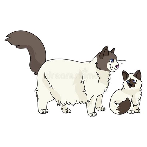 Cute Cartoon Ragdoll Cat And Kitten Vector Clipart Pedigree Kitty