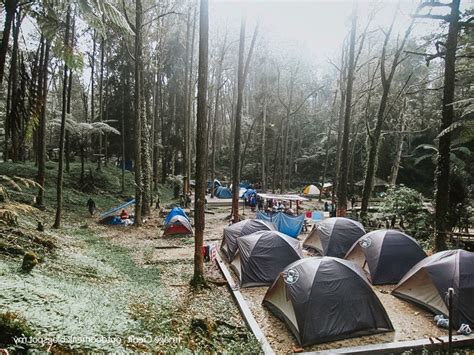 Camping Sites In Cameron Highlands Comprehensive Guide To Cameron