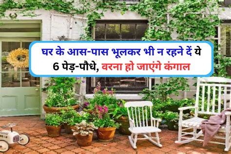 Vastu Tips घर के आस पास भूलकर भी न उगने दें ये 6 पेड़ पौधे वरना