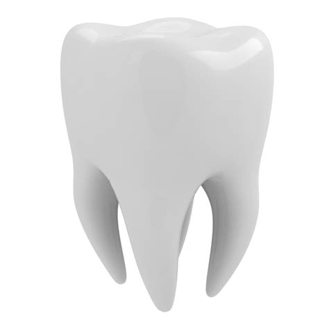 Human Tooth 3d Modeling Tooth Decay Three Dimensional Space Steel