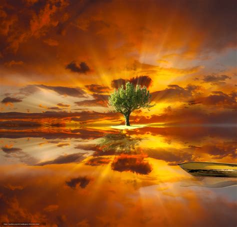 Descarca Imagini De Fundal Apus De Soare Copac 3d Artă Imagini De