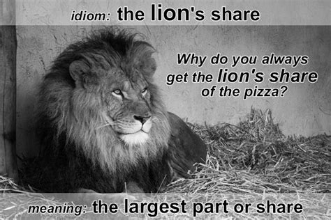 Idiom Lions Share﻿ Funky English
