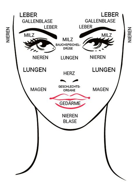 Vor allem im gesicht sind funktionsstörungen innerer organe schnell sichtbar. Was dein Gesicht über die Gesundheit deiner Organe verrät ...