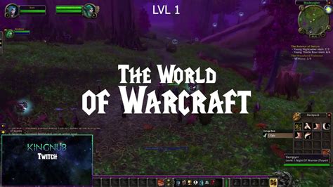 Wow Classic Warrior Leveling 1 60 Youtube