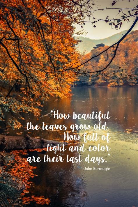 Free Autumn Quote Printables • Rose Clearfield