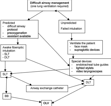 Algorithm For Difficult Airway Management When One Lung Ventilation Is