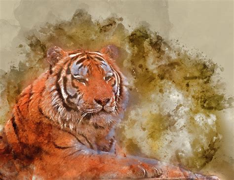 Watercolor Painting Of Stunning Close Up Image Of Tiger Relaxing