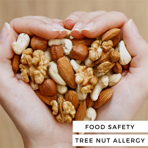 Food Safety Tree Nut Allergies Dinner Tonight