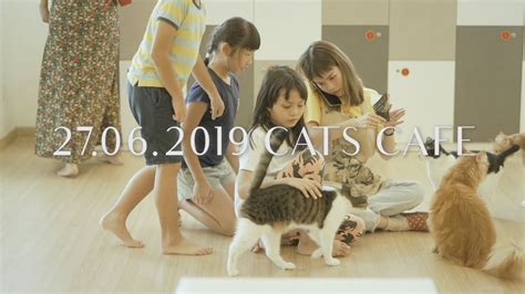 VLOG 27.06.2019 Cats Cafe Johor Bahru - YouTube