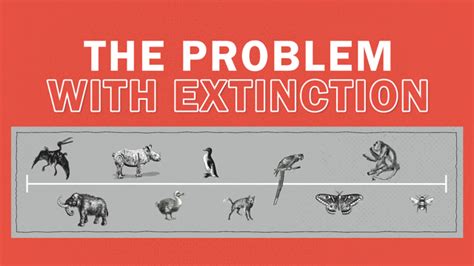 Species Go Extinct Video And Resources Clickview