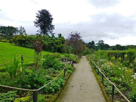 How to protect garden from monkeys. The Brockhole Monkey Puzzle - How pure should garden ...