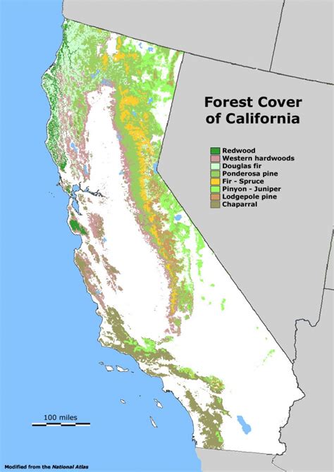 California National Forest Map Printable Maps