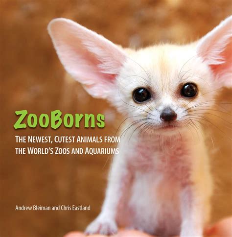 Zooborns Book By Andrew Bleiman Chris Eastland Official Publisher