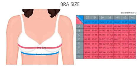How To Measure Your Bra Size Perfectly At Home Measure Bra Size Bra