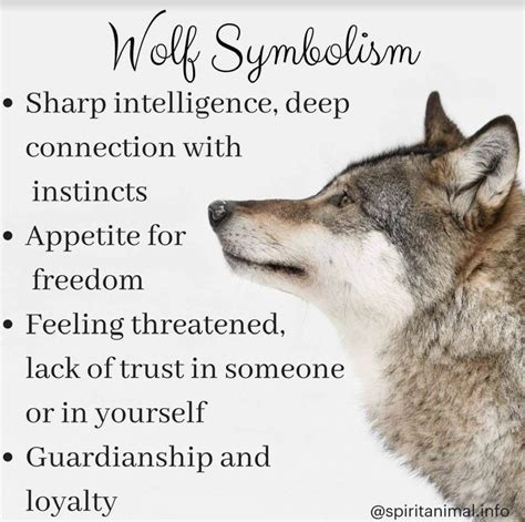 Pin By Chrissy Yitzhary On Full Moon Lovers Wolf Spirit Animal Wolf